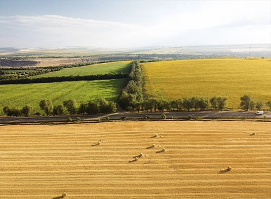 Vista aérea de campos cultivados con distintas variedades